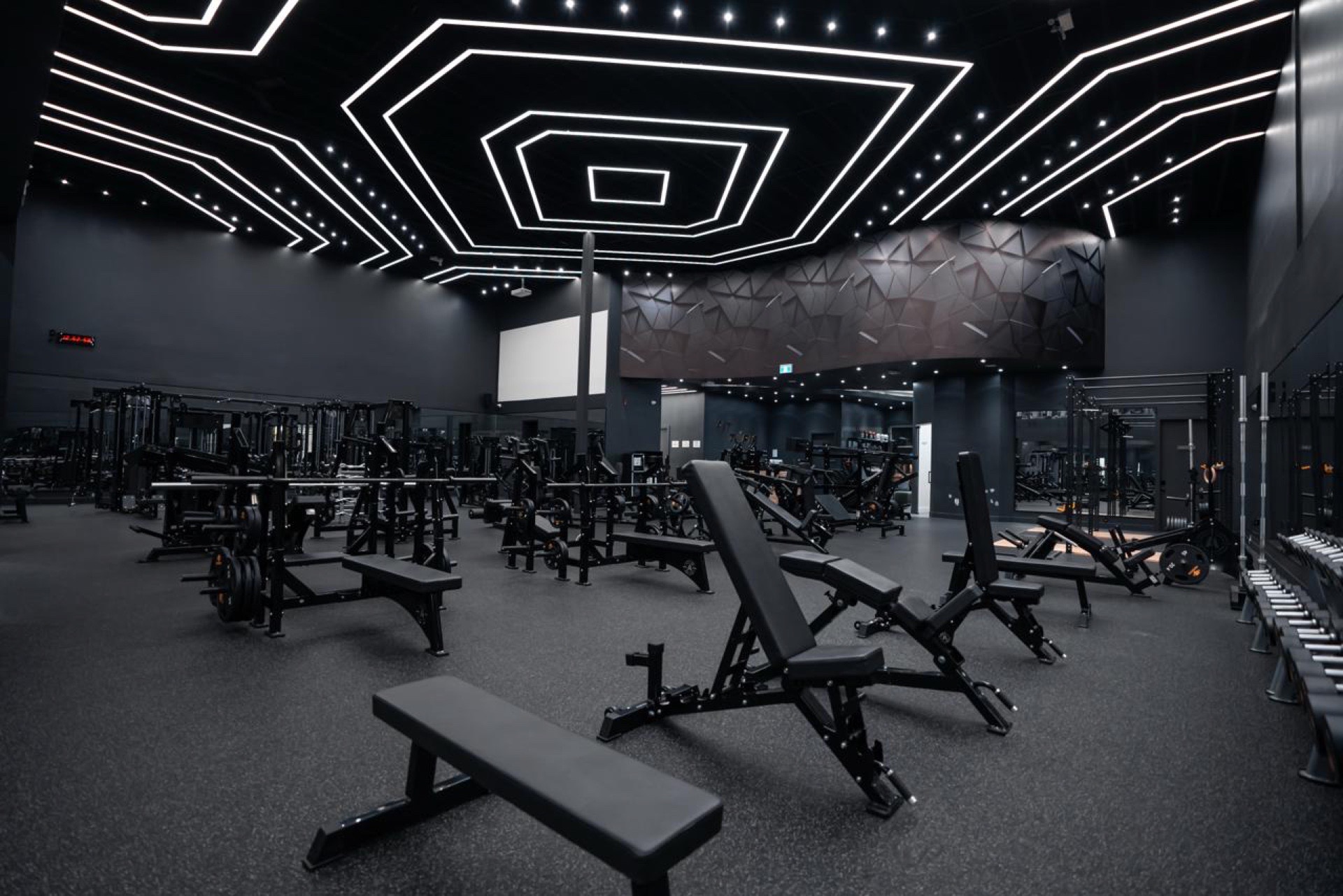 Physiotherapy vs Personal Training: What You Actually Need